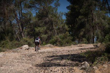 İsrail 'deki çam ağaçlarının arasında bisiklet süren bir bisikletçi.,  