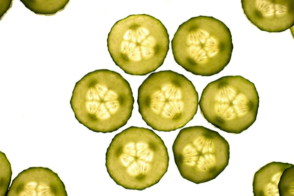 Sliced Cucumber Shape Flower — Stock Photo, Image
