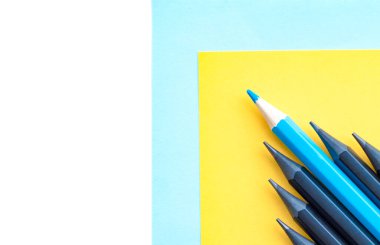 biraz siyah kalem ve bir mavi kalem.