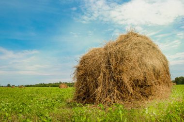 Tarlada bir saman yığını