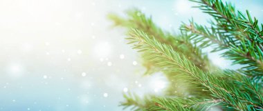 Ormandaki ladin dalları kapanır.