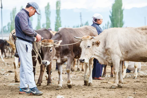 2017 Karakol Kyrgyzstan Circa June 2017 Weekly Sunday Animal Market — 스톡 사진