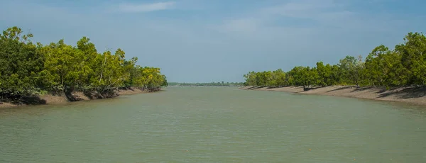 Sundarbans India Circa Noviembre 2013 Sundarbans Bosque Manglares Más Grande —  Fotos de Stock