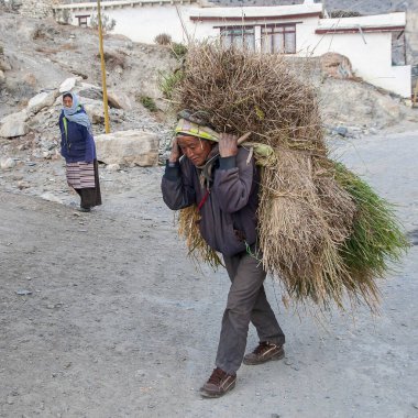 MARPHA, NEPAL - CRCA NOVEMBER 2013: Marpha 'da Kasım 2013 dolaylarında Nepal' de zor yaşam.