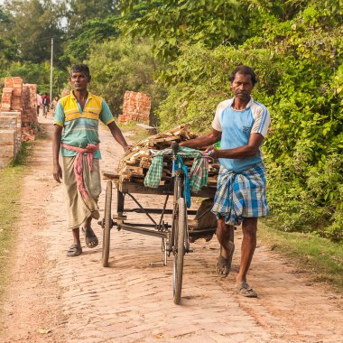 DIAMOND HARBour, INDIA - CIRCA NOVEMBER 2013: Hindistan kırsalında yaşam Kasım 2013 dolaylarında Diamond Harbour 'da.