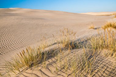 Baltık denizinin güzel manzarası