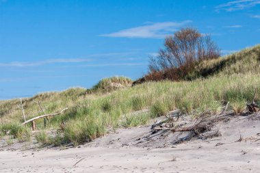 Polonya sahilinin güzel manzarası