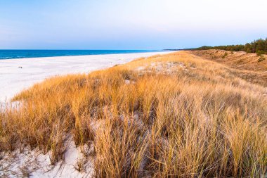 Baltık denizinin güzel manzarası