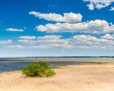 Baltık denizinin güzel manzarası