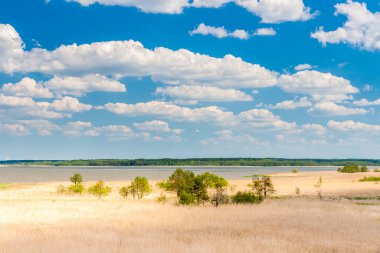 Baltık denizinin güzel manzarası