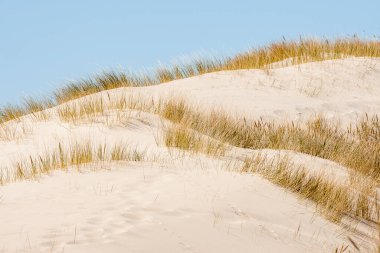 Baltık denizinin güzel manzarası