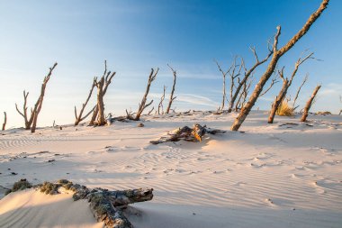 Polonya Baltık Denizi Manzarası