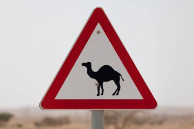 Güzel yol işareti dikkat develer.