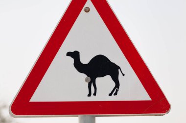 Güzel yol işareti dikkat develer.