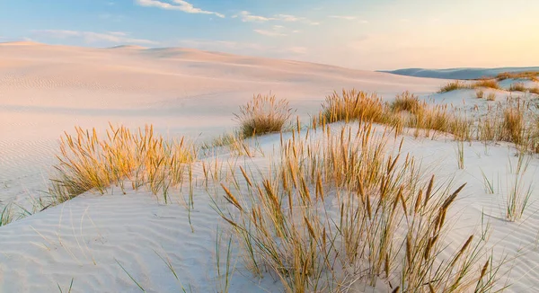 Bella Vista Sul Mar Baltico — Foto Stock