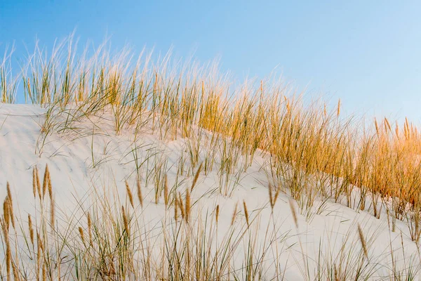 View Polish Baltic Sea — Stock Photo, Image