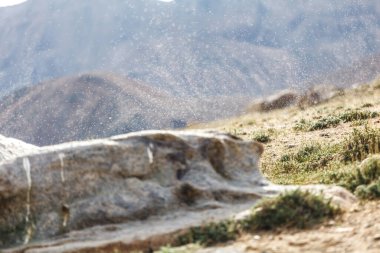 Tacikistan 'daki Bulunkul Gölü üzerindeki binlerce küçük sineğin görüntüsü