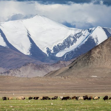 Tacikistan 'daki Pamir' in güzel manzarası
