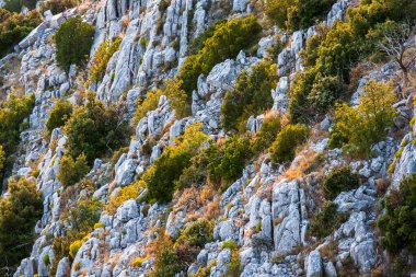 Sveti Nikola 'nın tepesinden Hvar adasının en yüksek manzarası.