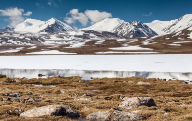 Kırgızistan 'ın Issyk Kul Bölgesinde Barskoon (Arabel) Syrts
