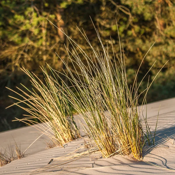 Die Ostsee Ein — Stockfoto