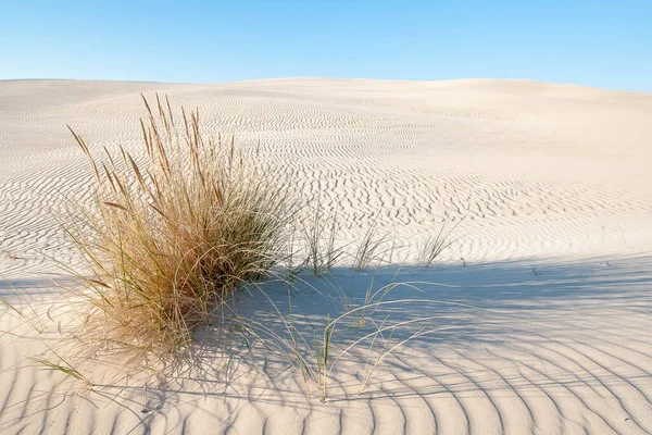 Mar Baltico — Foto Stock