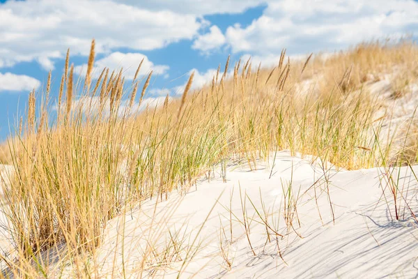 Oostzee — Stockfoto