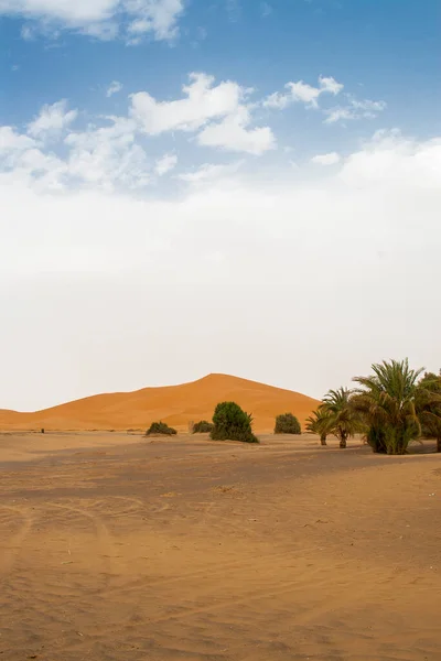 Erg Chebbi Morocco — Stock Photo, Image