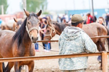 KARAKOL, KYRGYZSTAN - CIRCA HAZİRAN 2017: Karakol 'da haftalık pazar hayvan pazarı Kırgızistan' daki Issyk-Kul Gölü 'nün doğu ucu, 2017 Haziran ayı civarında Karakol' da.