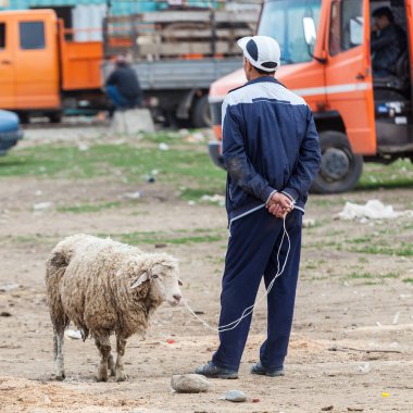KARAKOL, KYRGYZSTAN - CIRCA HAZİRAN 2017: Karakol 'da haftalık pazar hayvan pazarı Kırgızistan' daki Issyk-Kul Gölü 'nün doğu ucu, 2017 Haziran ayı civarında Karakol' da.