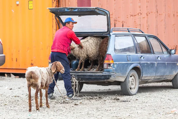 2017 Karakol Kyrgyzstan Circa June 2017 Weekly Sunday Animal Market — 스톡 사진