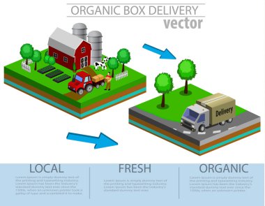 Organik pazar kavramı. Bir mağaza organik sebze ve meyve vektör çizim.