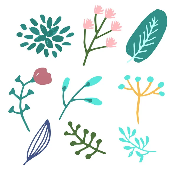 Design gráfico de flores. Conjunto vetorial de elementos florais com flores desenhadas à mão. — Vetor de Stock