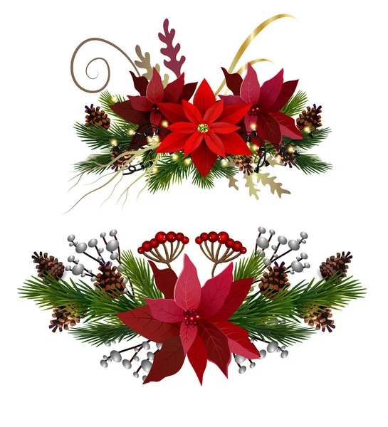 Décoration Noël Sertie Cônes Pin Feuilles Persistantes Vecteur Isolé Poinsettia — Image vectorielle