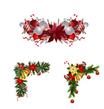 Evergreen treess çam kozalakları ve Atatürk çiçeği izole vektör ile Noel dekorasyon