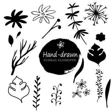 El çizilmiş çiçek ve bitki koleksiyonu