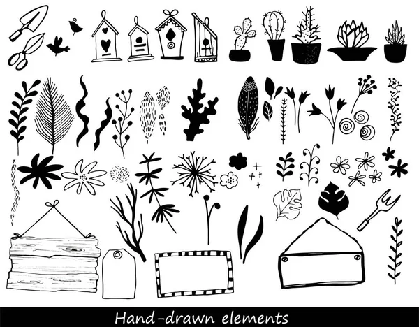 手绘花卉和植物的收集 — 图库矢量图片