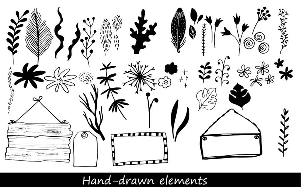 Kézzel rajzolt virágok és növényi berendezések gyűjtése — Stock Vector