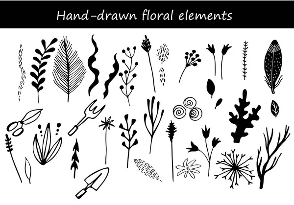 Collection de fleurs et de plantes dessinées à la main — Image vectorielle