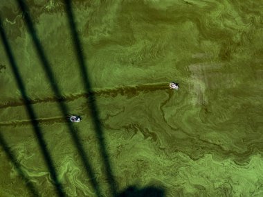 Aerial drone view. Two fishing boats in the shadow of the North Bridge in Kiev. Green blooming algae in the Dnieper river on a hot summer day. clipart