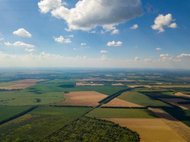 Ukrayna 'nın tarım arazilerinde bulutların üzerinde uçuyorlar. Hava Uçuşu.