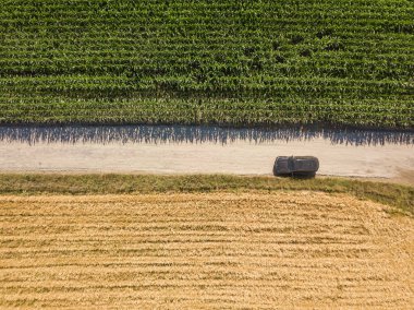 Hava aracı görüntüsü. Ukrayna 'da mısır ve buğday tarlaları arasındaki toprak yolda siyah bir araba..