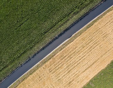 Ukrayna 'daki mısır ve buğday tarlaları arasında yeni asfalt yol. Hava aracı görünümü.