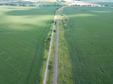 Ukrayna 'daki yeşil mısır tarlasından geçen demiryolu. Hava aracı görünümü.