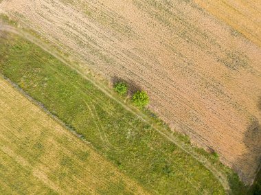 Ukrayna köyündeki tarım arazileri. Hava aracı görünümü.