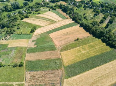 Ukrayna köyündeki tarım arazileri. Hava aracı görünümü.