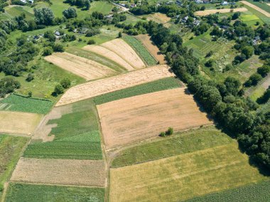 Ukrayna köyündeki tarım arazileri. Hava aracı görünümü.