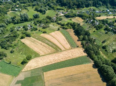 Ukrayna köyündeki tarım arazileri. Hava aracı görünümü.
