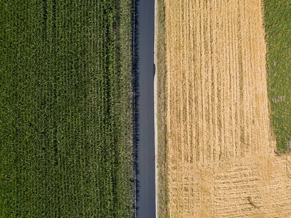 Nova Estrada Asfalto Entre Campos Milho Trigo Ucrânia Vista Aérea — Fotografia de Stock