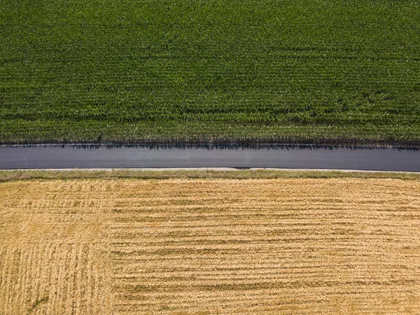 Nuevo Camino Asfalto Entre Los Campos Maíz Trigo Ucrania Vista — Foto de Stock